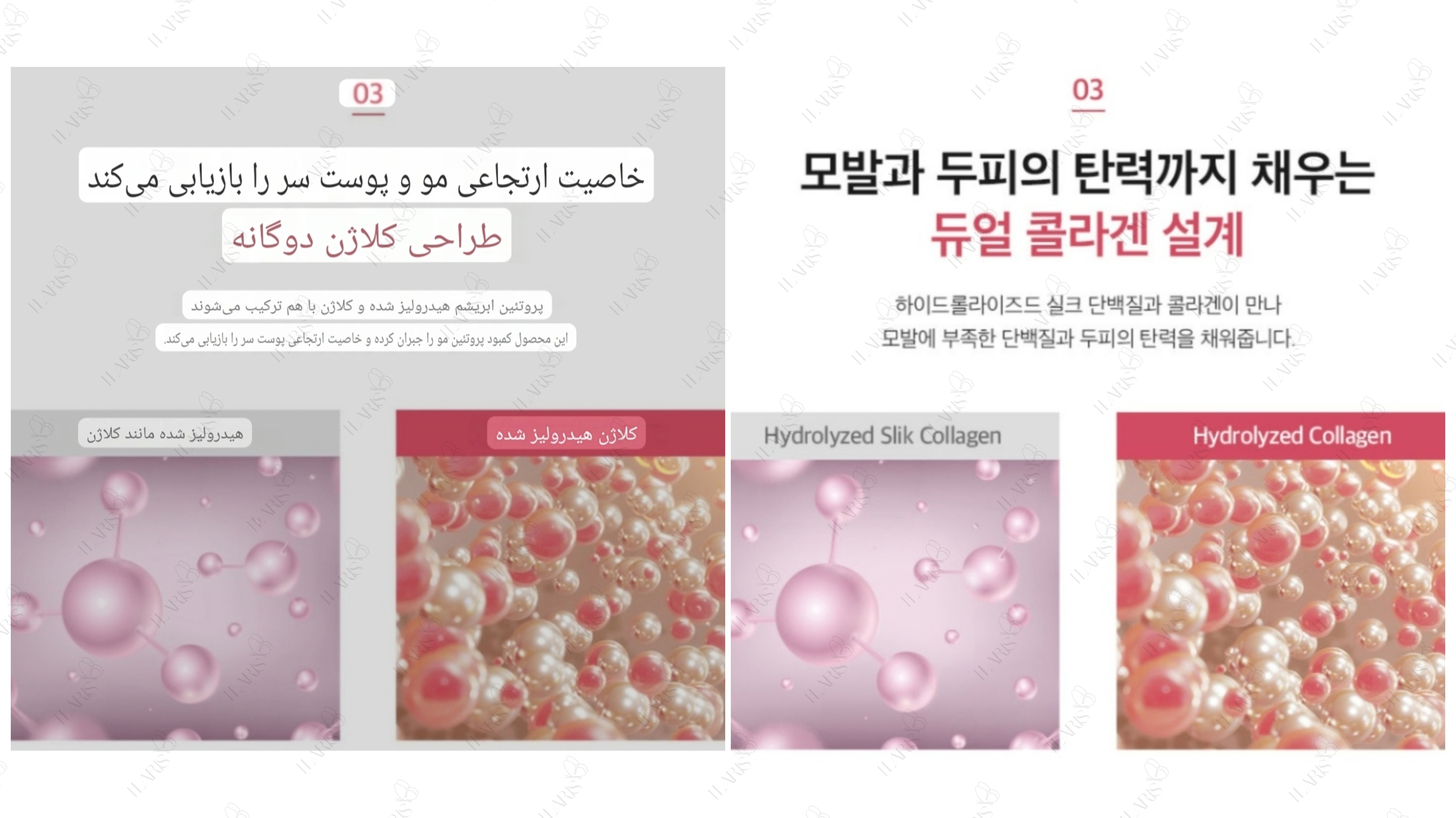 آمپول مو سالنی ترمیم کننده معروف به 8 ثانیه ای ماسیل